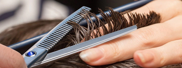 Professional Thinning Scissors