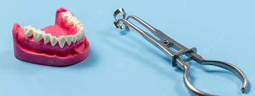 Rubber Dam Clamp Forceps